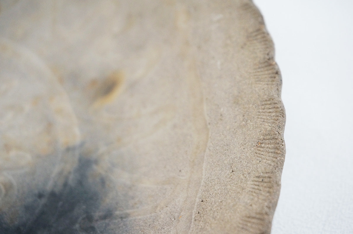 001 カレー皿 3/4