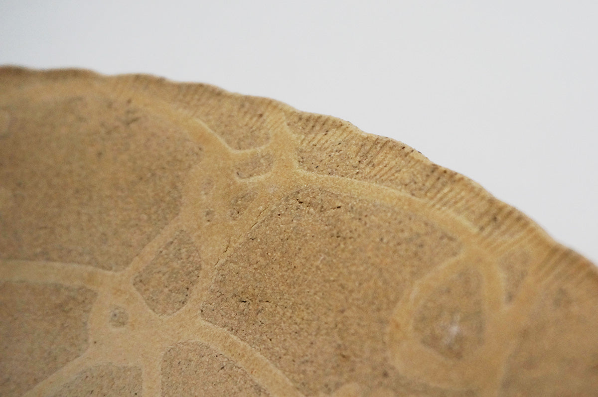 001 カレー皿 7/8