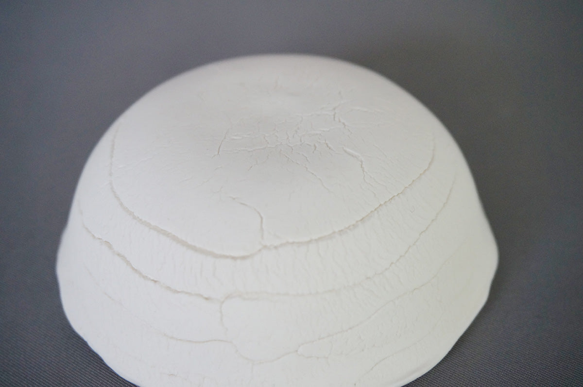 003 oshi bowl