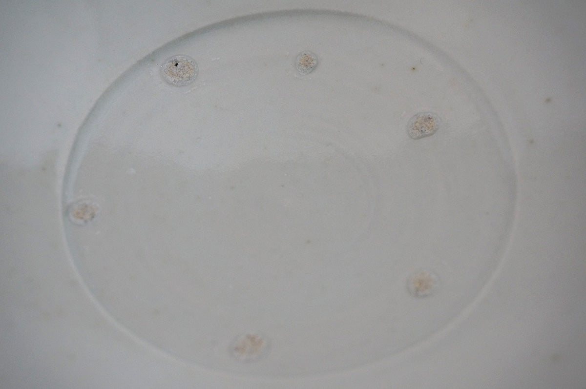 005 青白磁パスタ鉢(7寸) 薪窯焼成 目跡あり