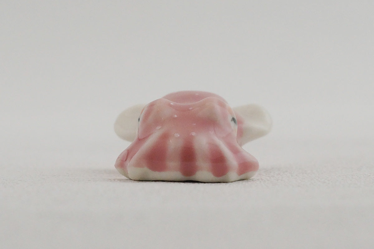 箸置き ミミイカ