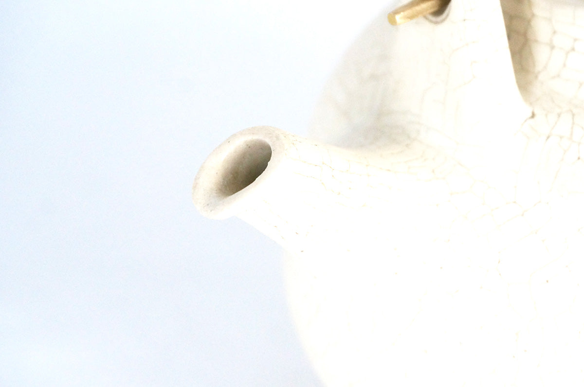 007 白梅花皮　土瓶　2