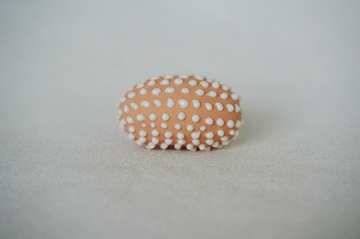 010 豆（中）1/2/3/4/5