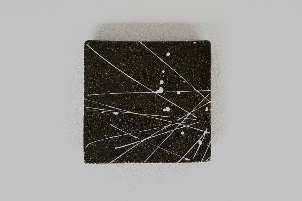 010 Slip Trip  Kaolin（白）/黒