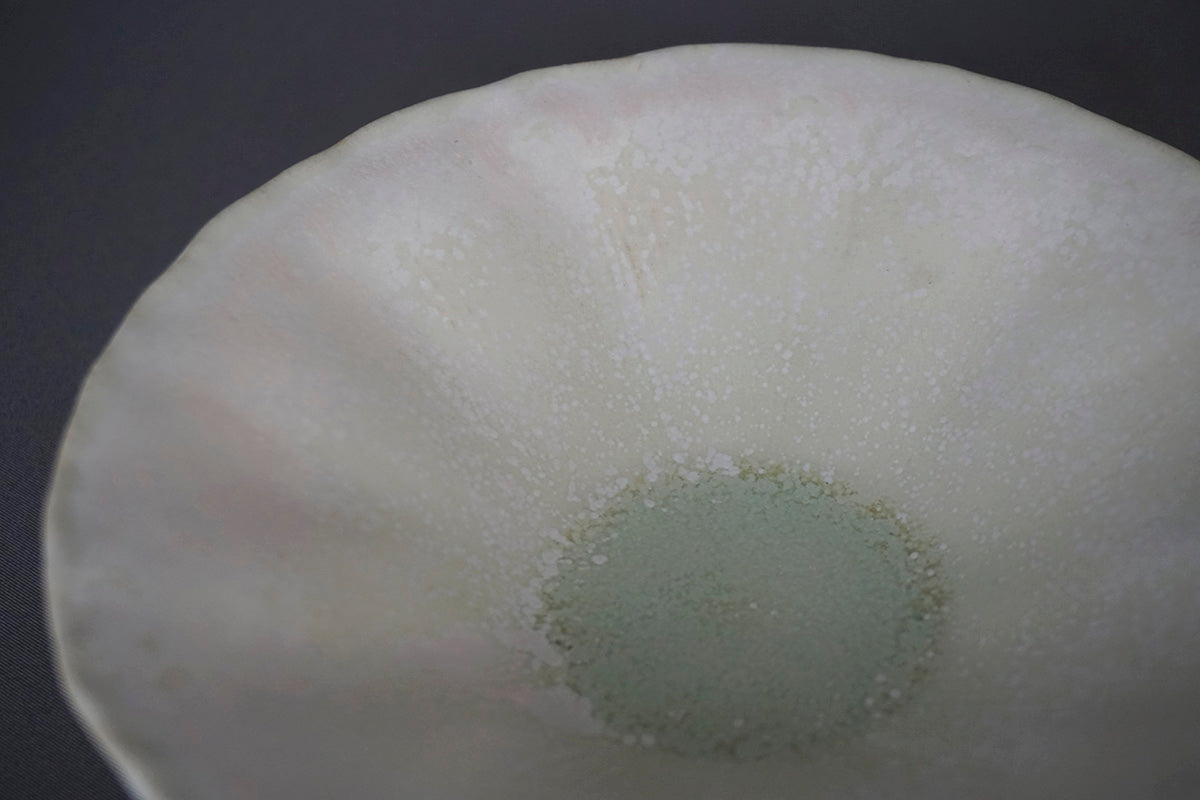 014 浅鉢 Φ15cm 花筏