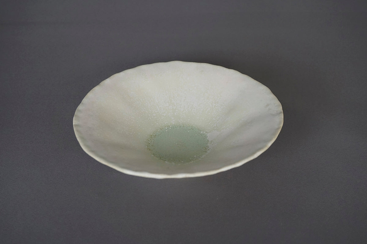 014 浅鉢 Φ15cm 花筏