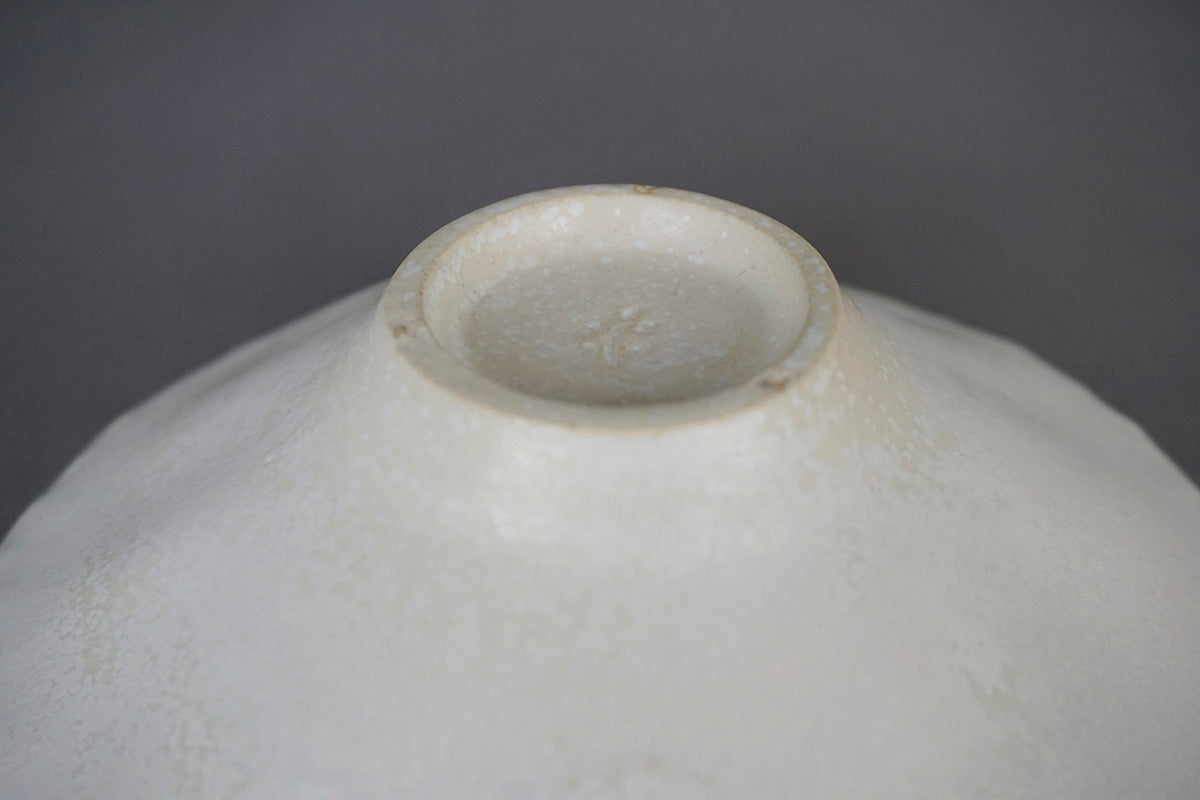 014 浅鉢 Φ15cm 花筏