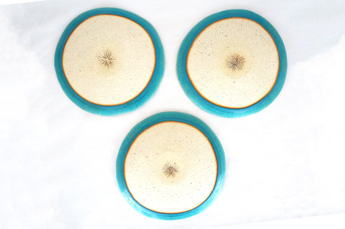 022 トルコ　8寸　湖面