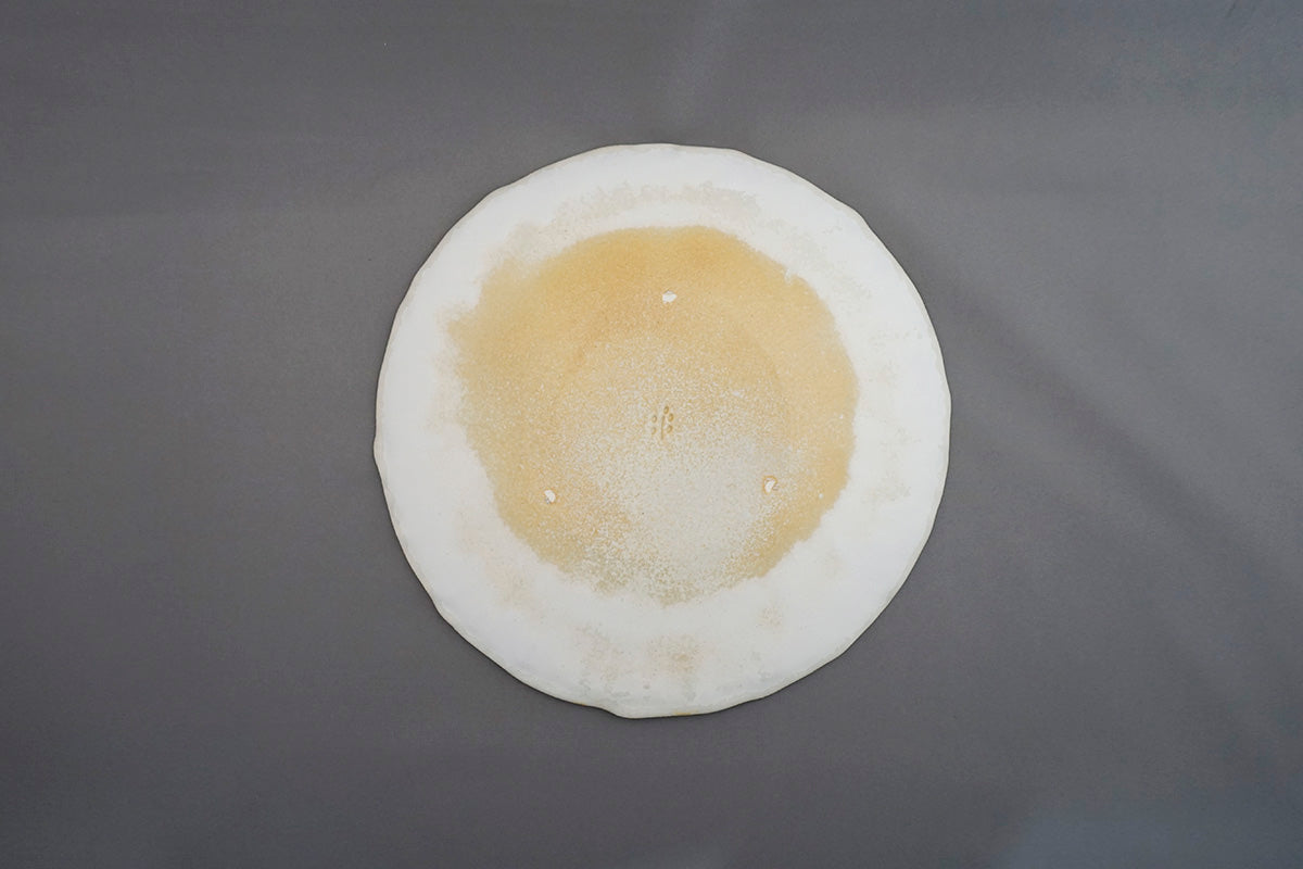 023 平皿 Φ21cm 春霞