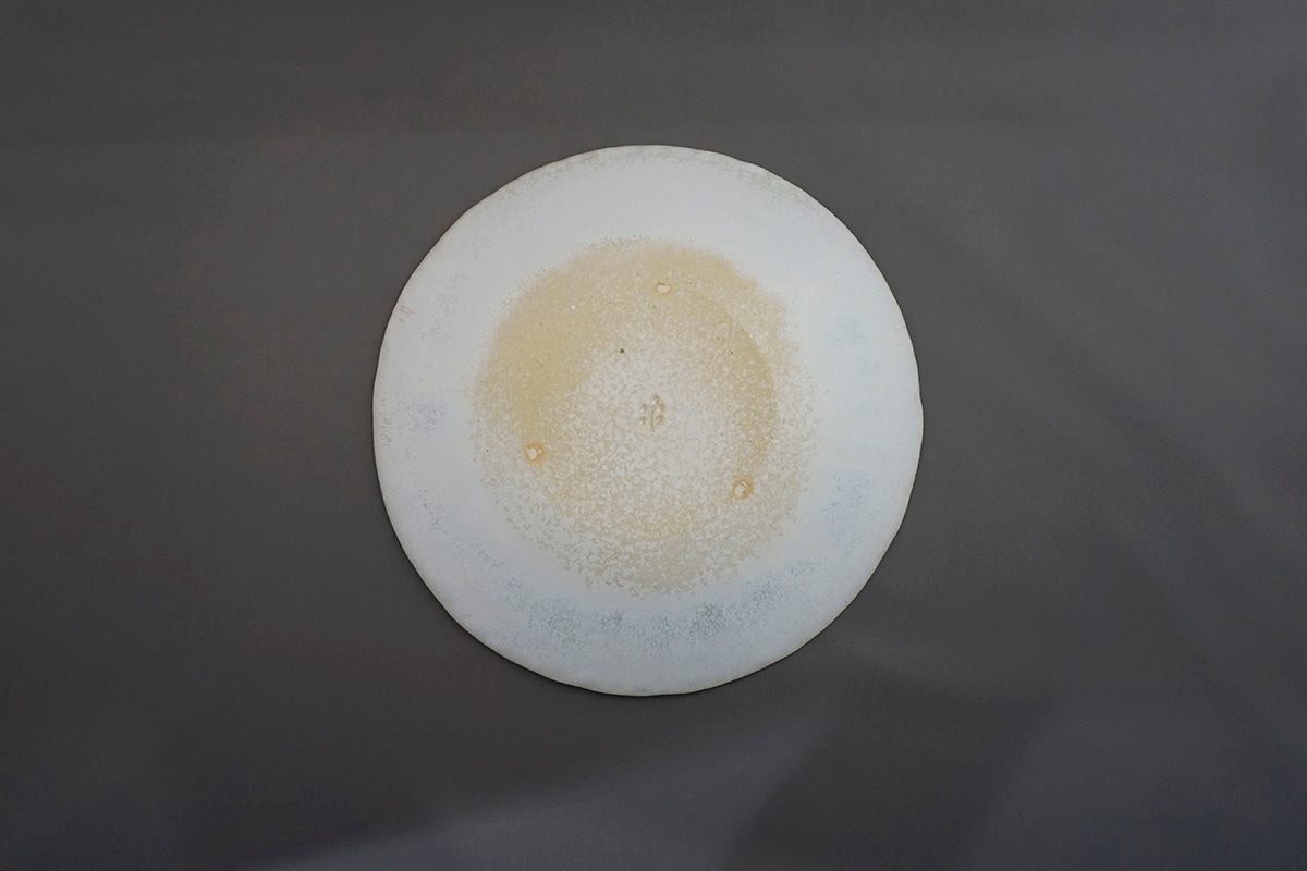 023 平皿 Φ21cm 春霞