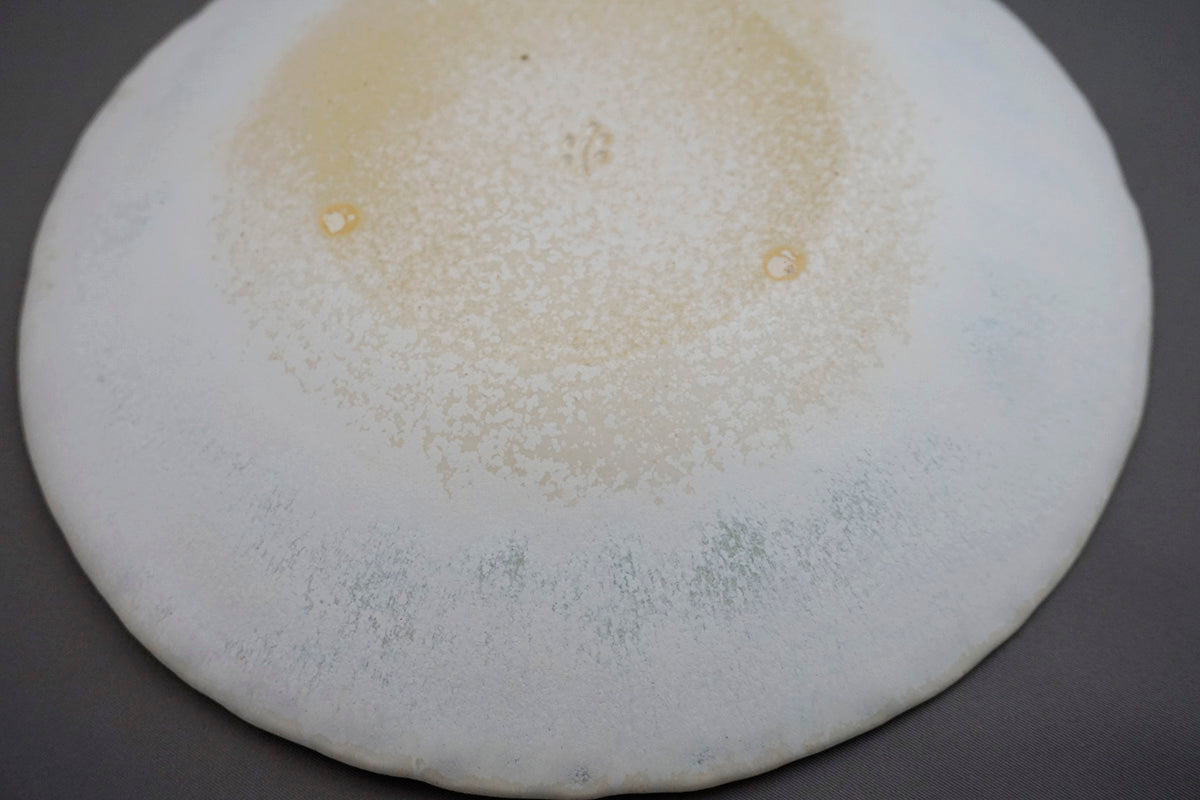023 平皿 Φ21cm 春霞