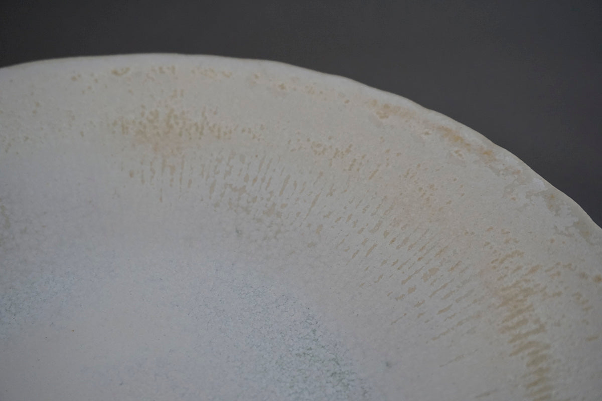023 平皿 Φ21cm 春霞