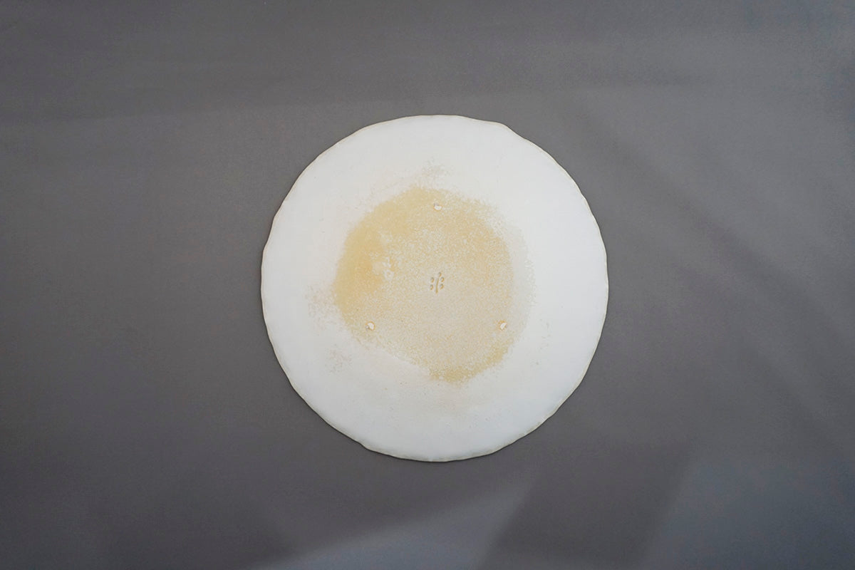 023 平皿 Φ21cm 春霞
