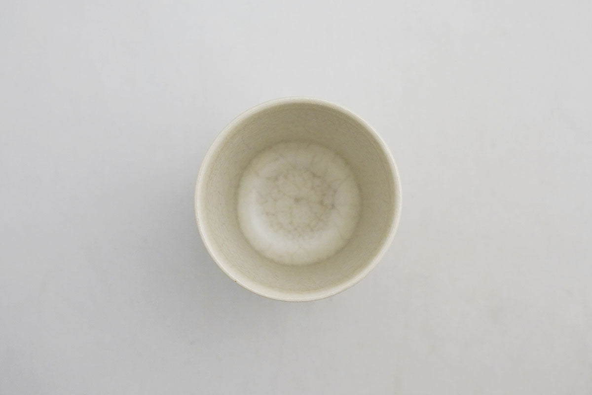 026 cup