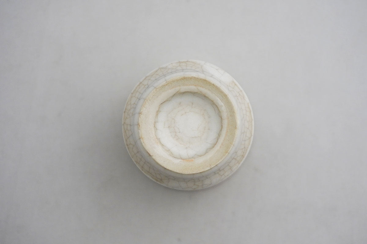 026 cup