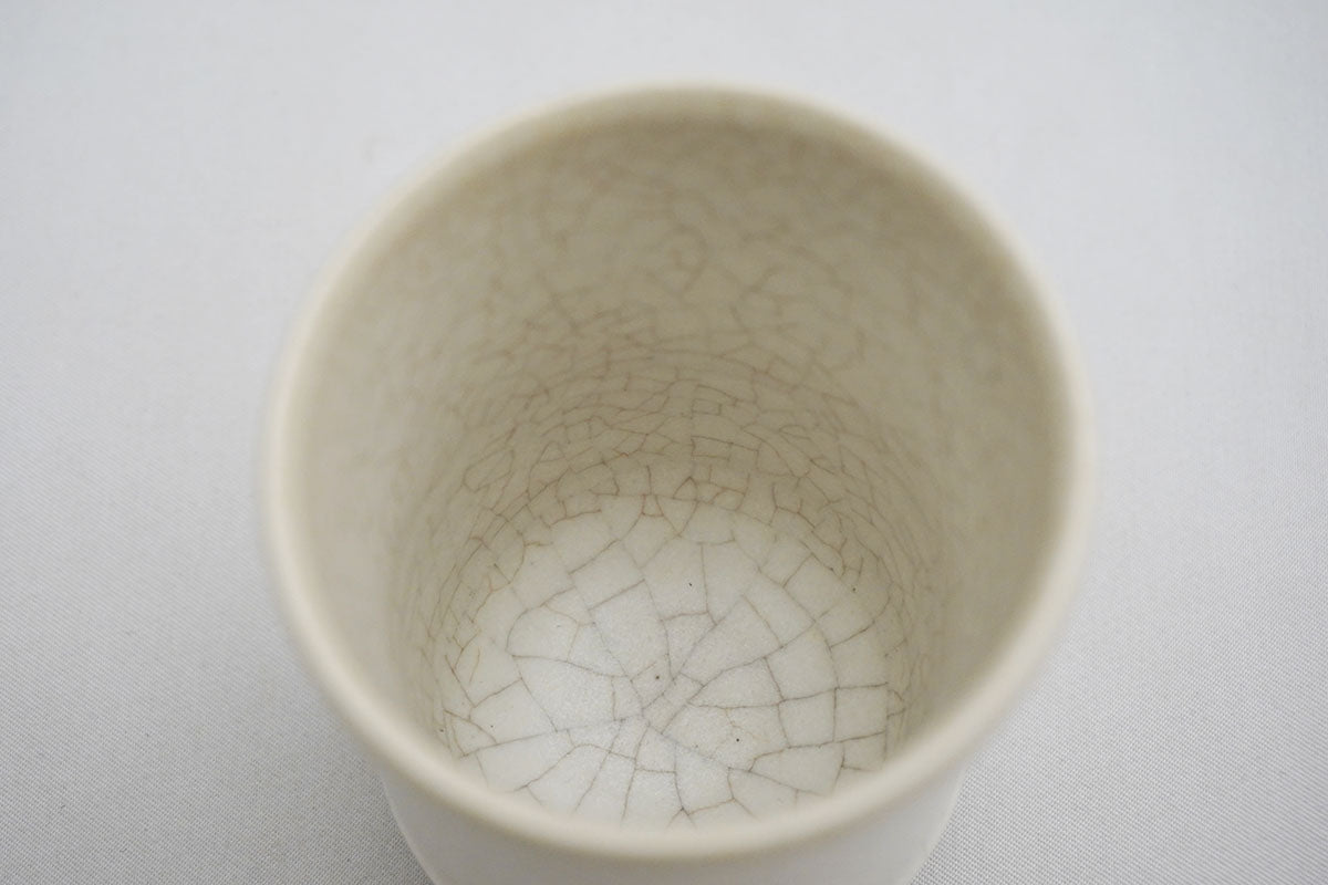026 cup