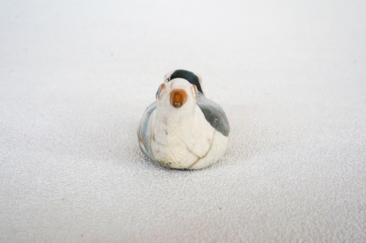 031 楽焼き　カモメ