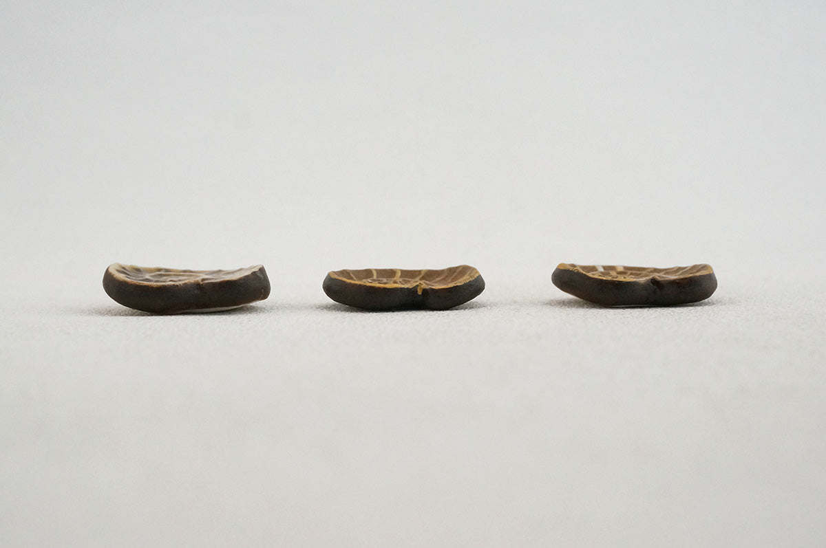 044 アンモナイト