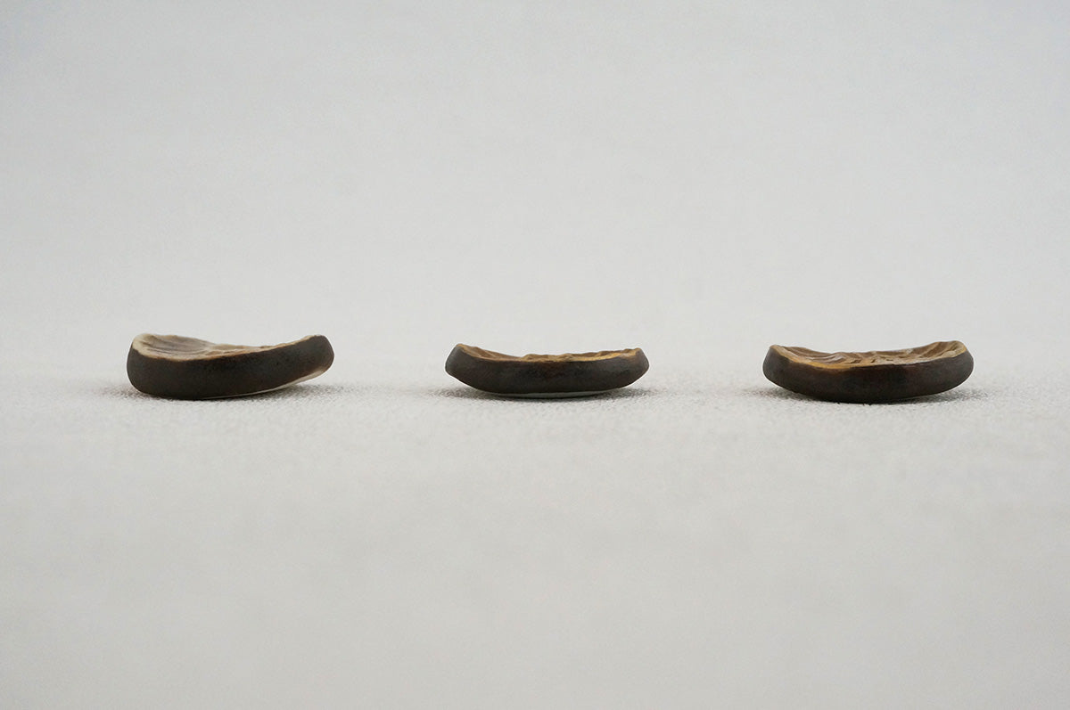 044 アンモナイト