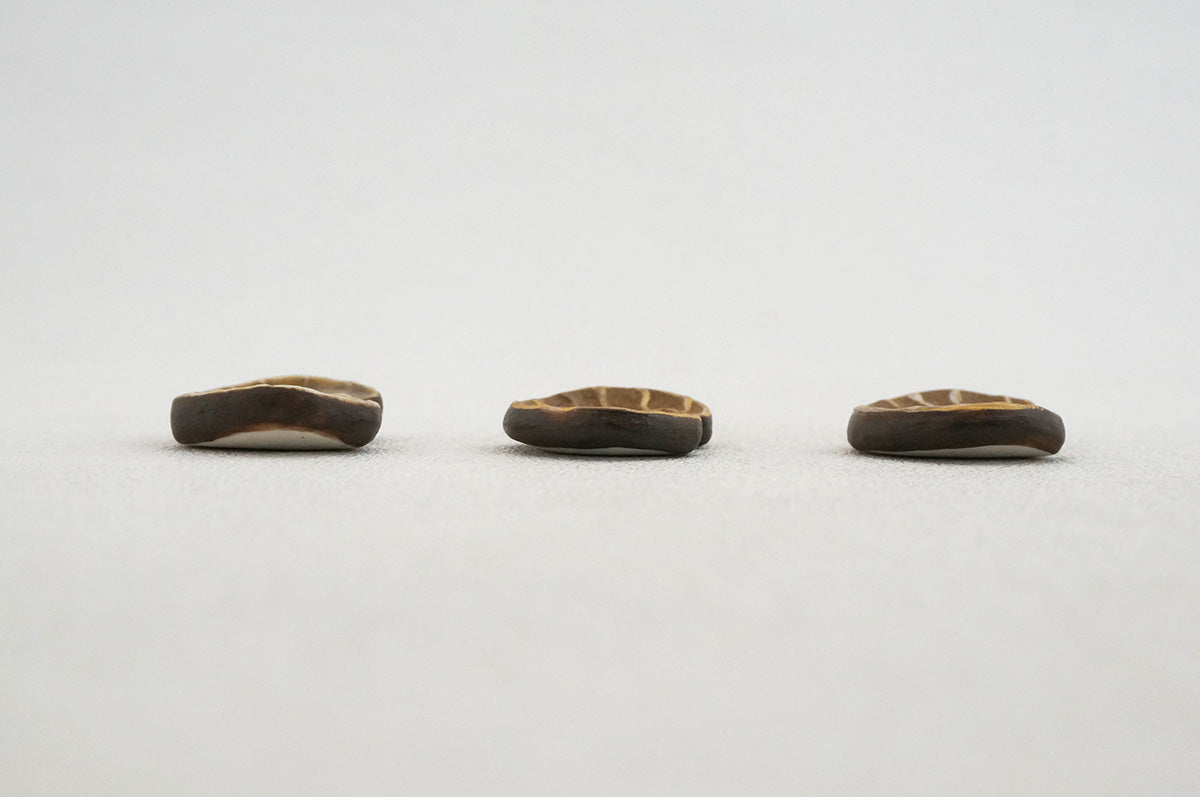 044 アンモナイト