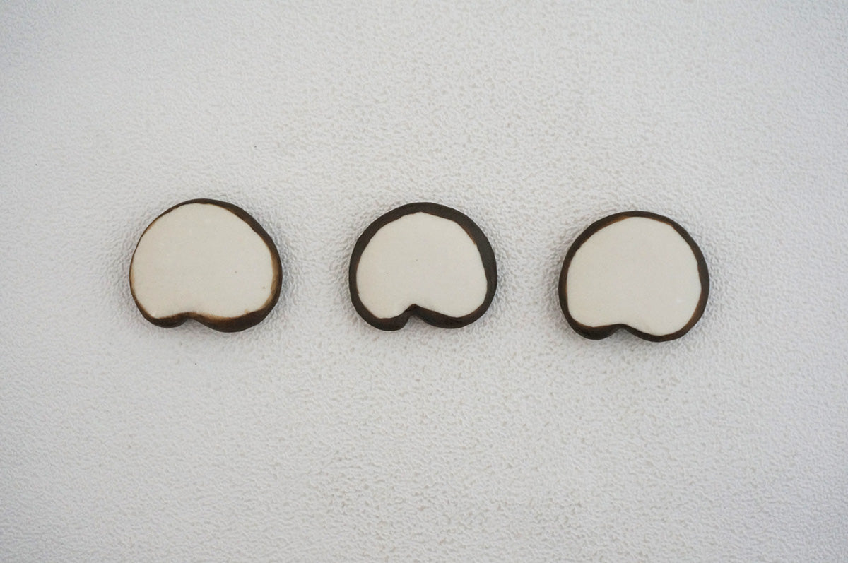 044 アンモナイト