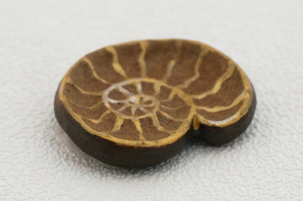 044 アンモナイト