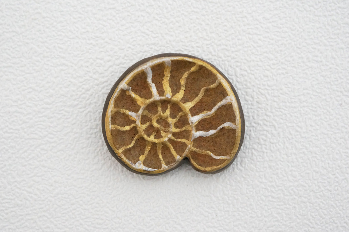 044 アンモナイト