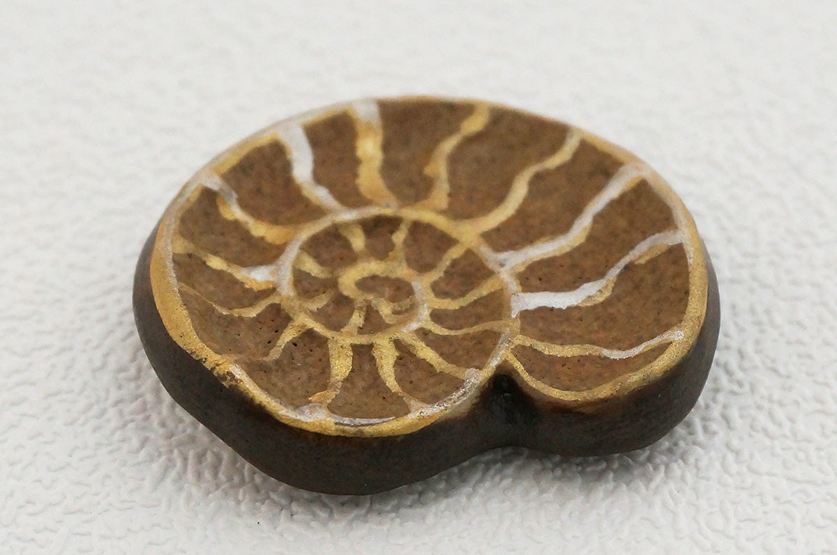 044 アンモナイト