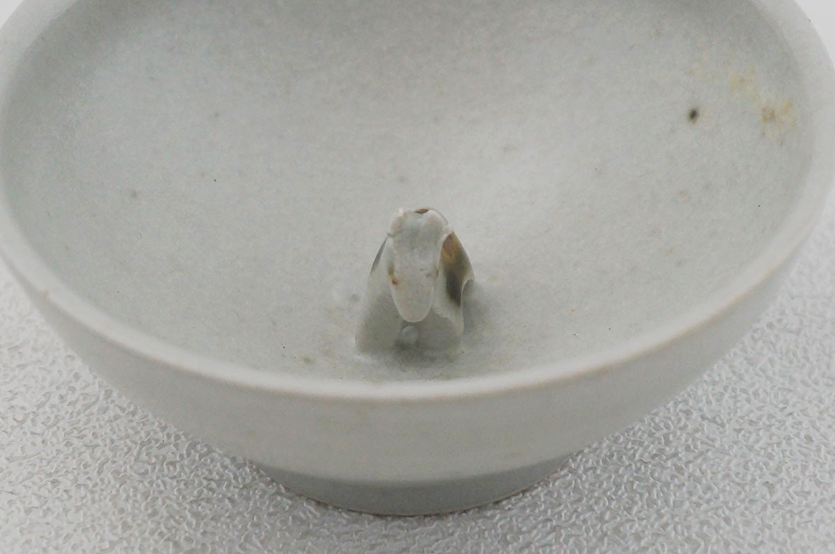 047 馬盃