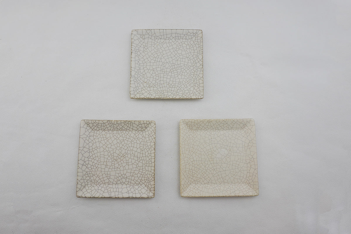 005 shikaku plate S