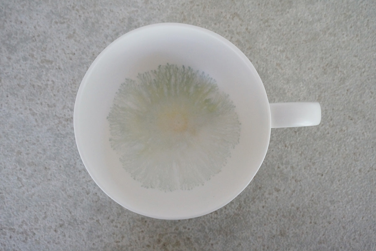016  moca  soupmug (○)