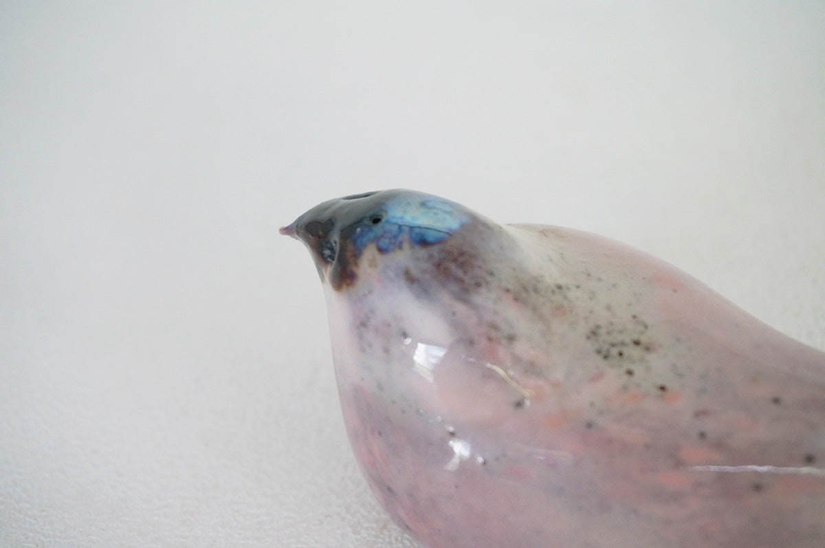 019 鳥