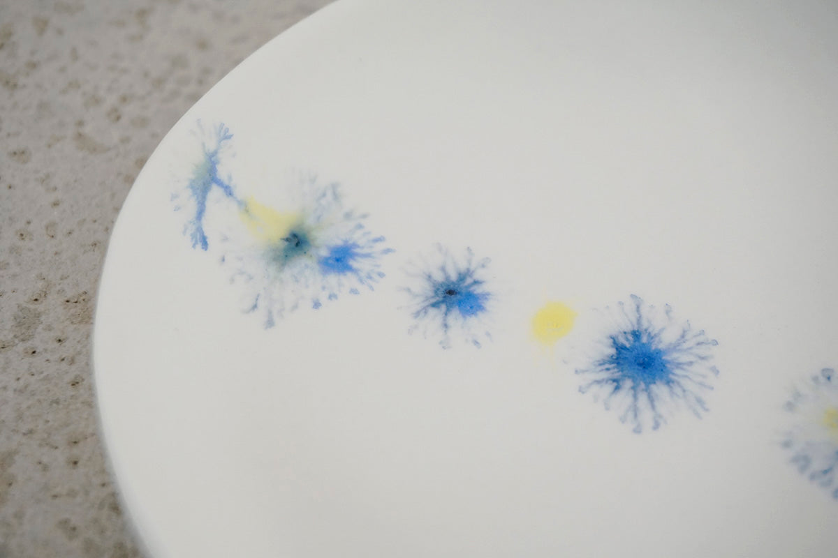 021  moca oval plate