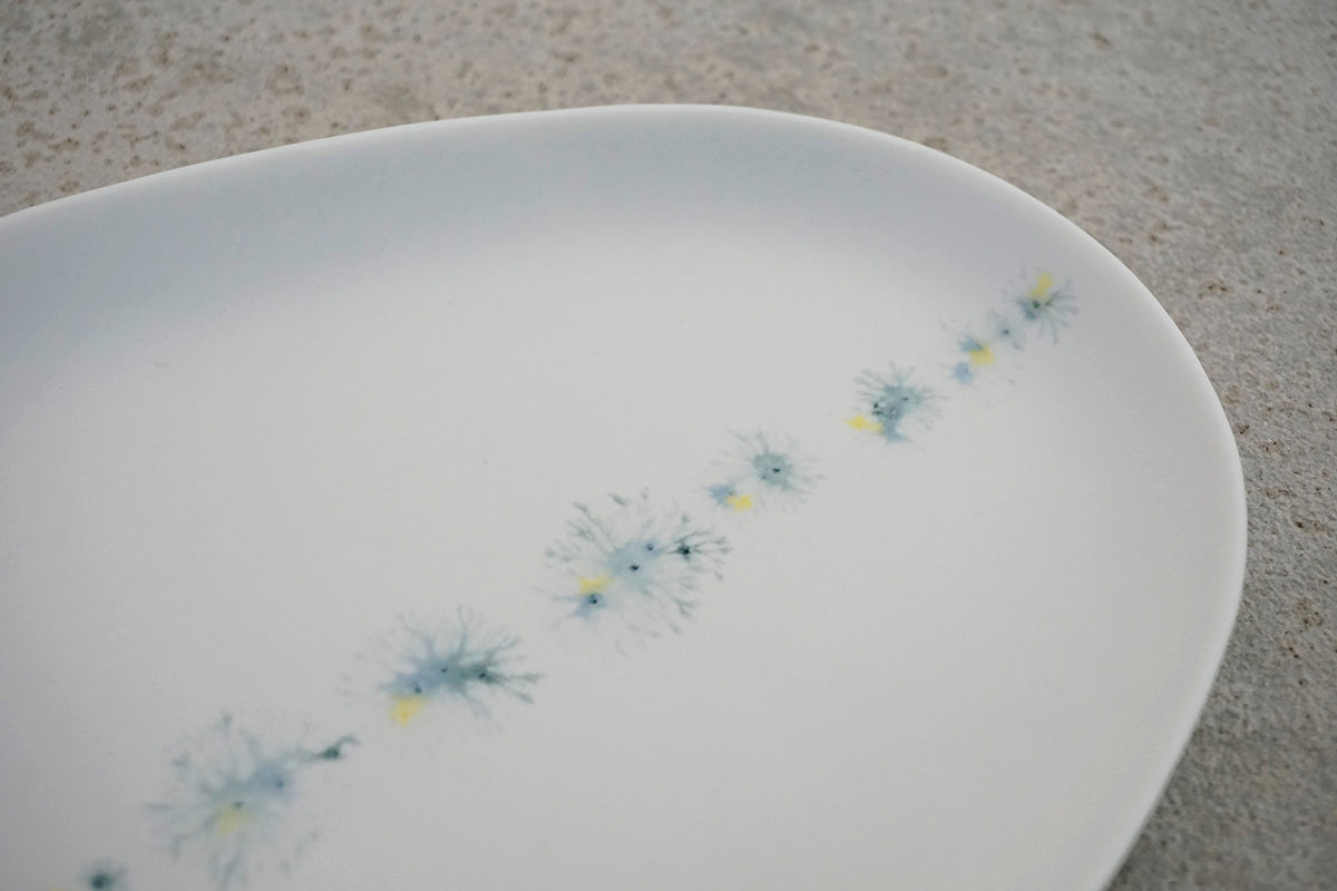 021  moca oval plate