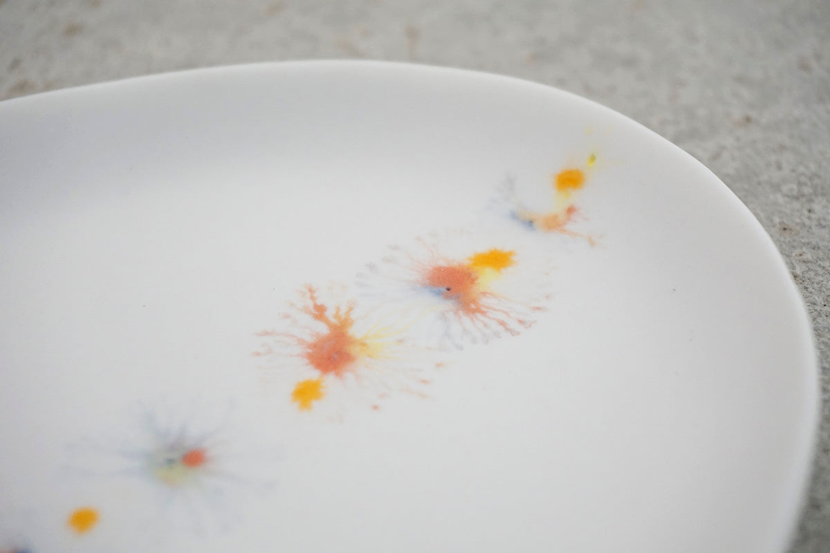 021  moca oval plate