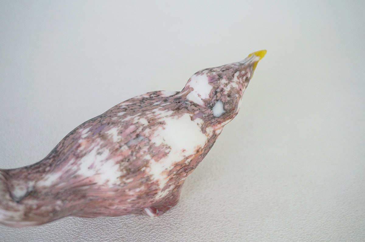 021 鳥