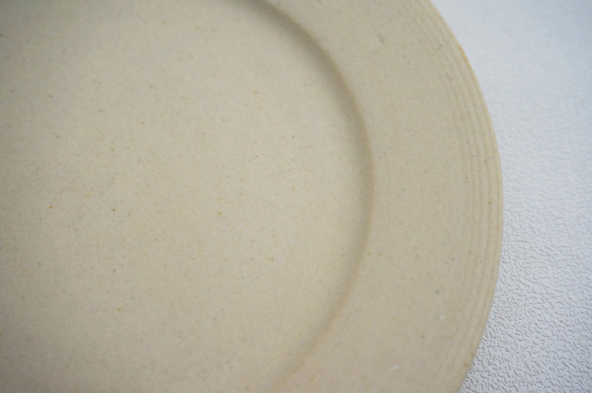 24-37 ナローボーダー 5寸リム皿