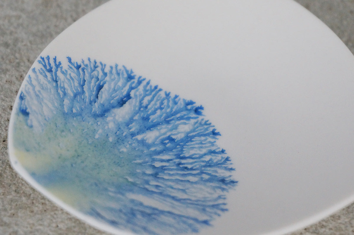 028  moca  tray (△)