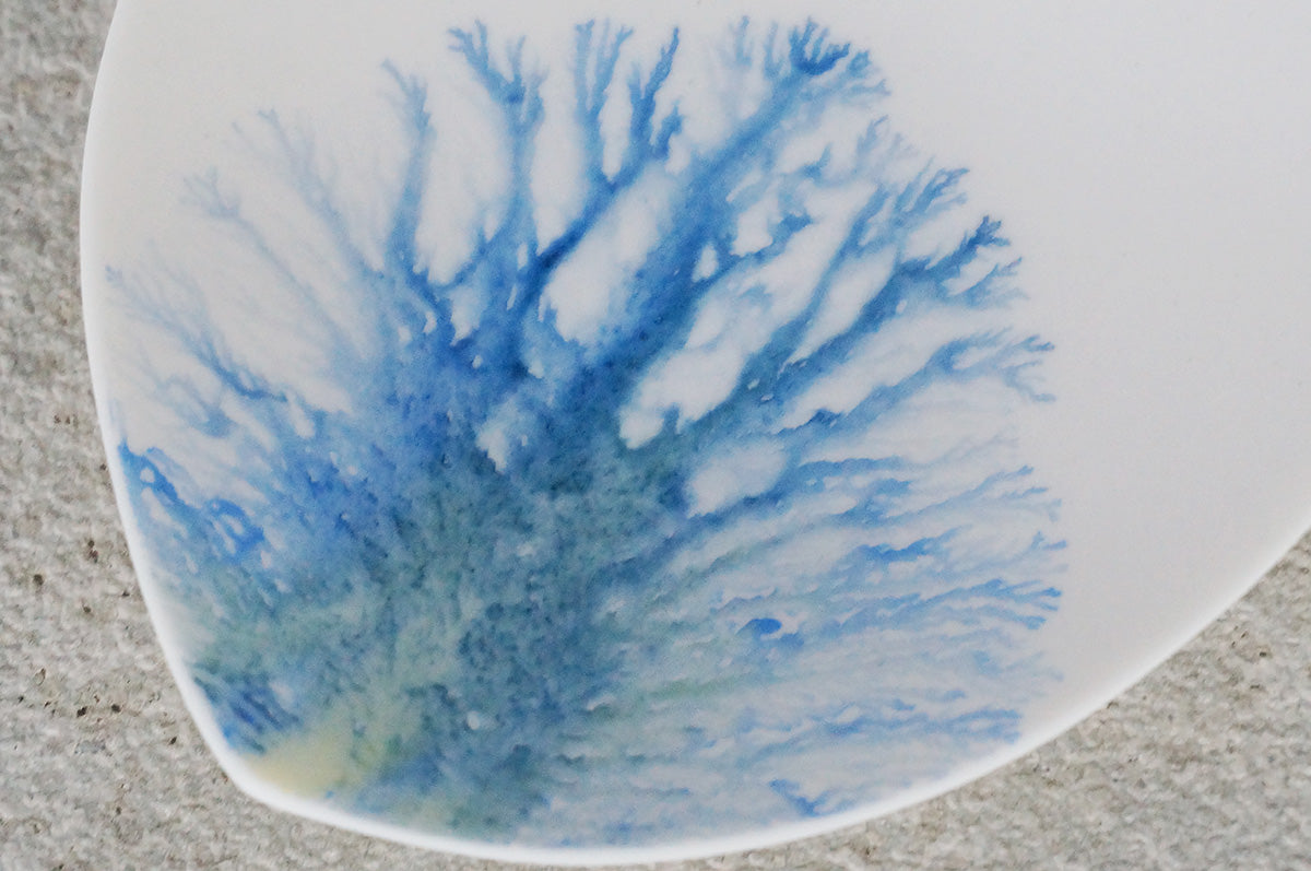 028  moca  tray (△)