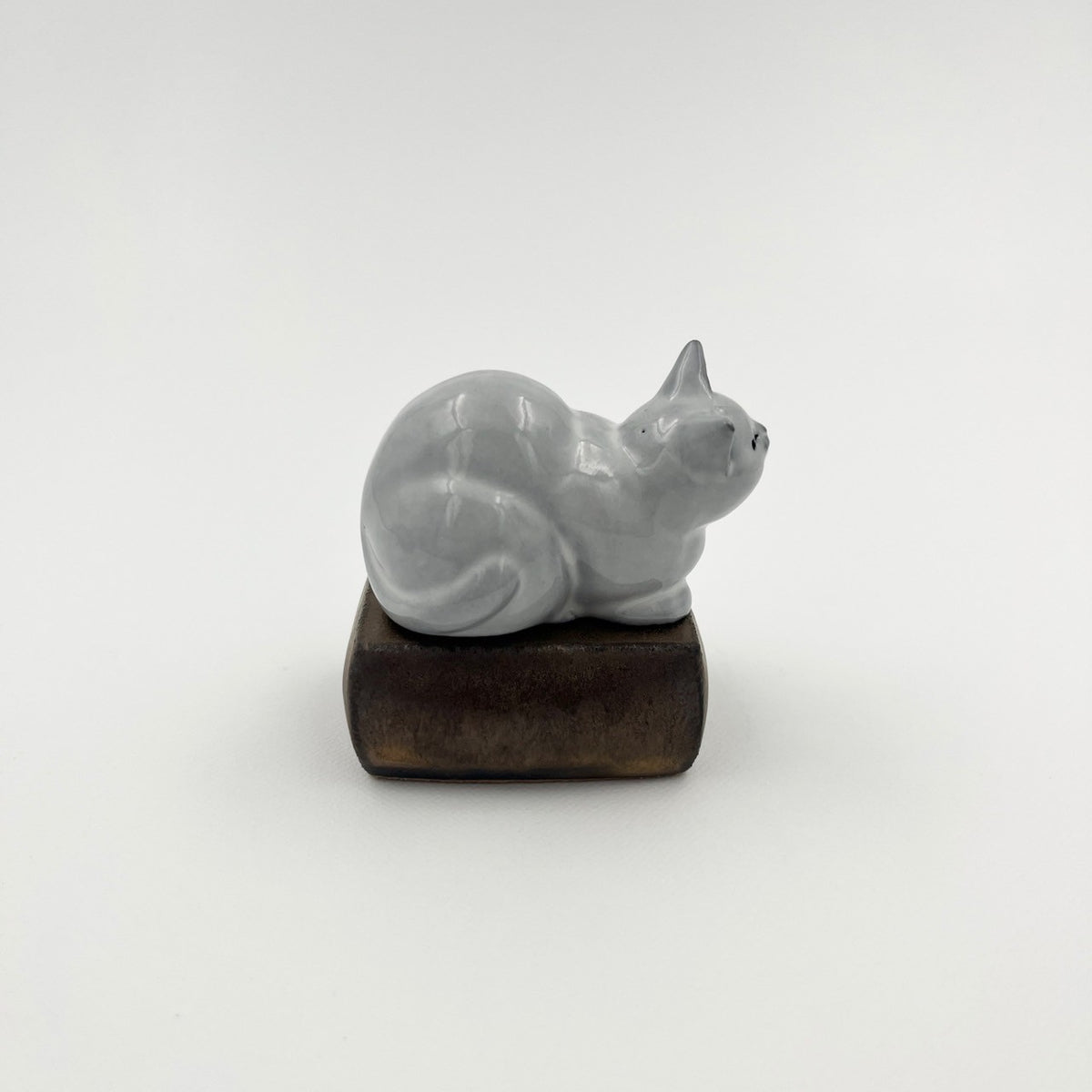 箱入猫花入