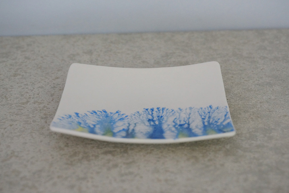 008  moca  tray (□)