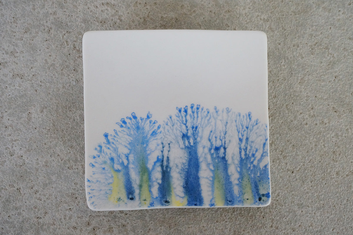 008  moca  tray (□)