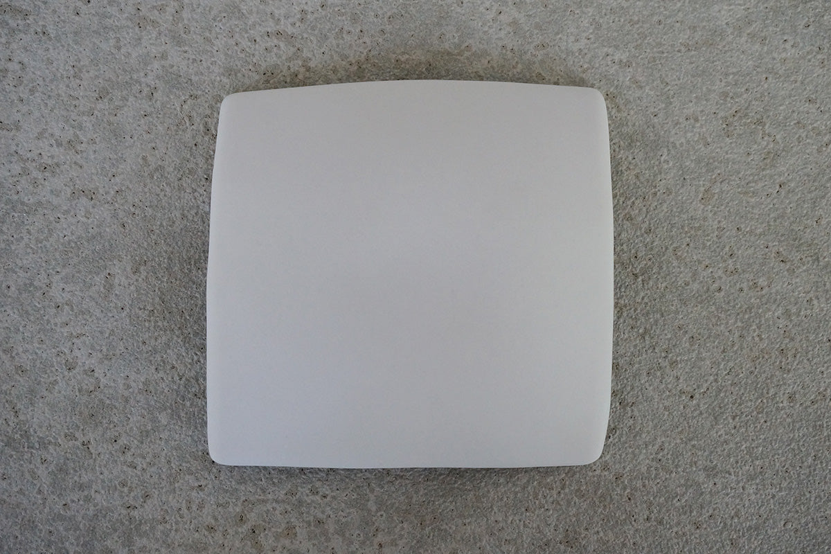 008  moca  tray (□)