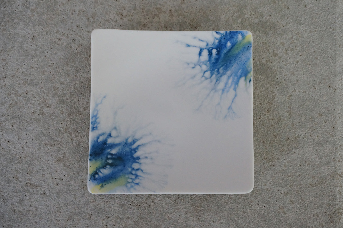 008  moca  tray (□)