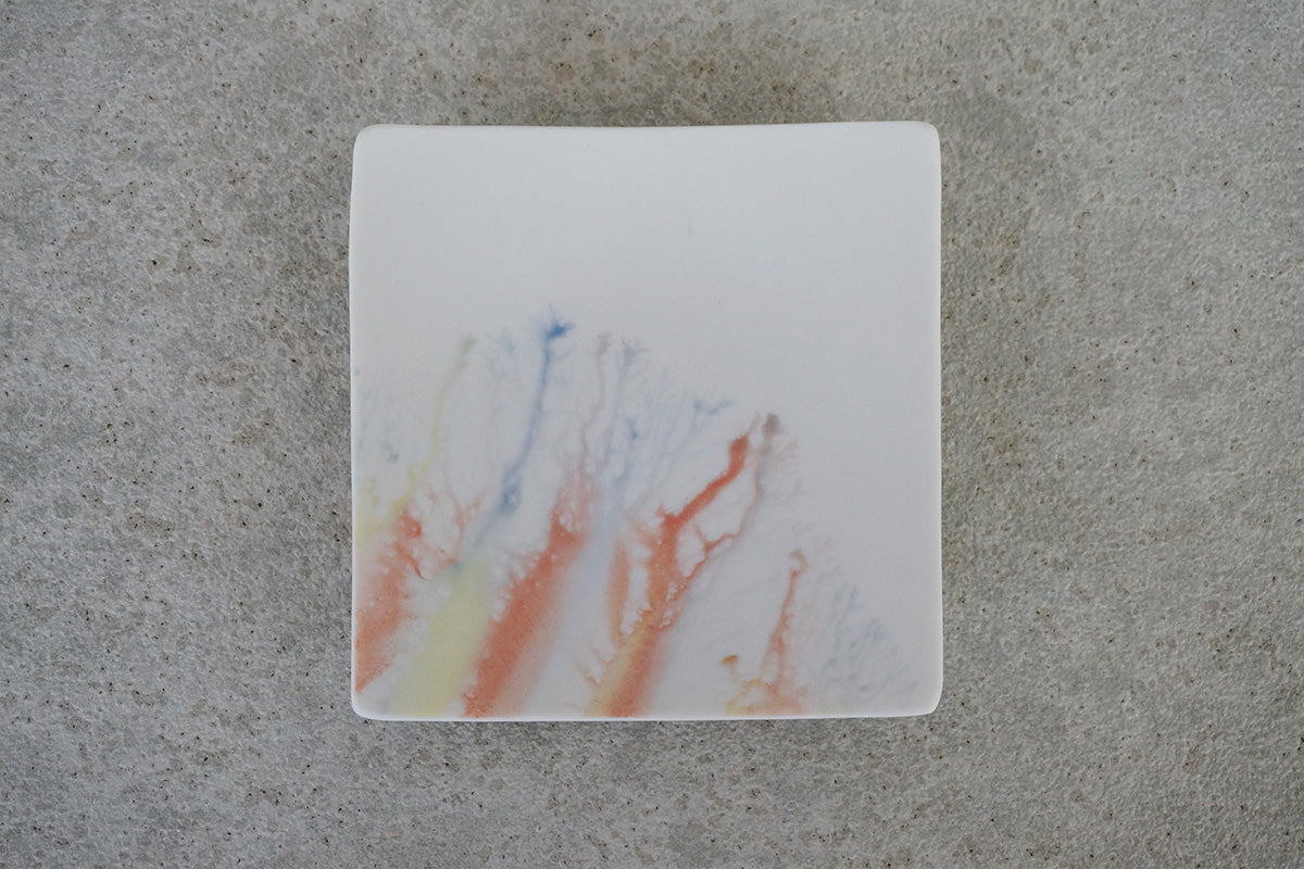 008  moca  tray (□)