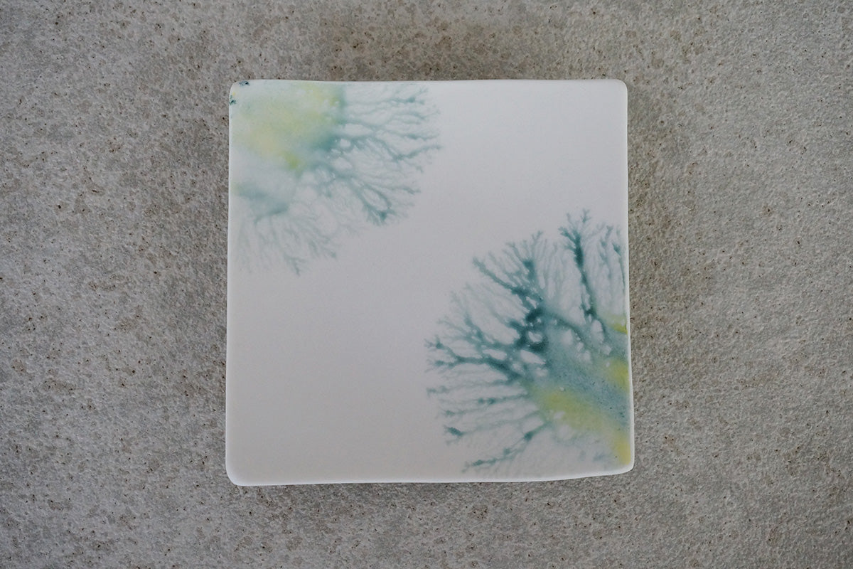 008  moca  tray (□)