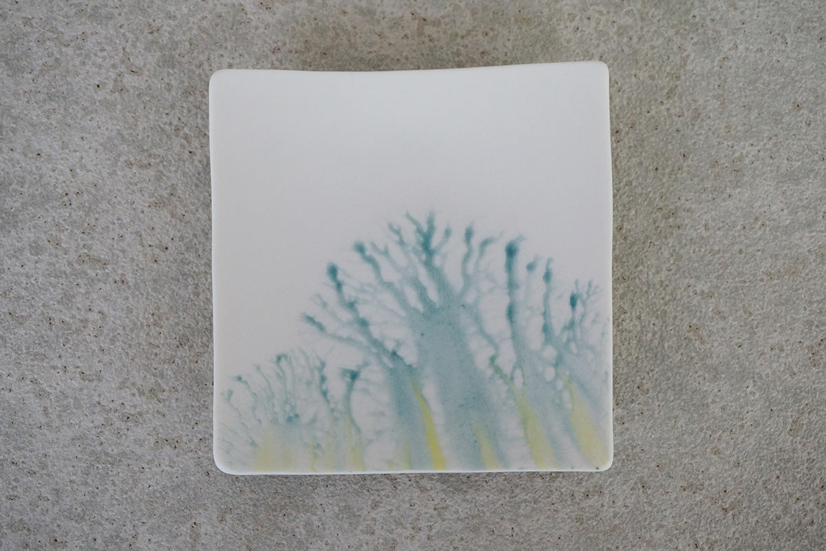 008  moca  tray (□)