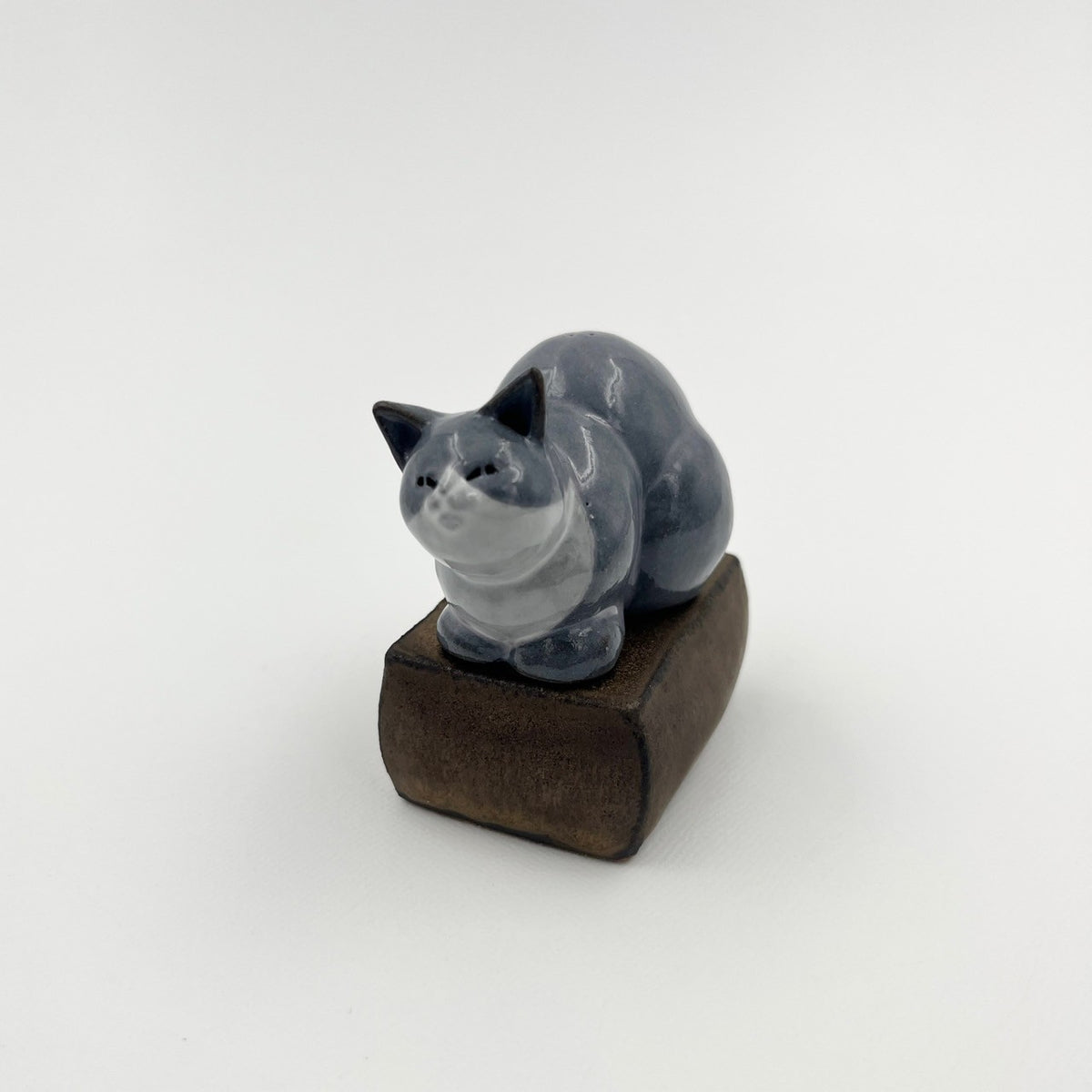 箱入猫花入