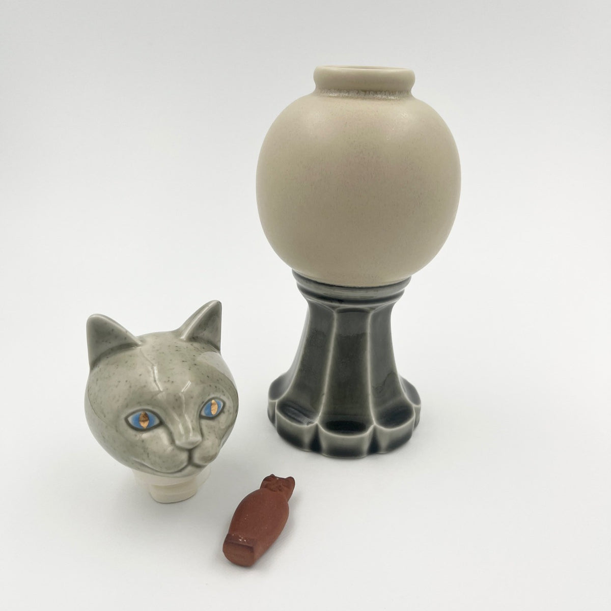 Cat paw Dorothy