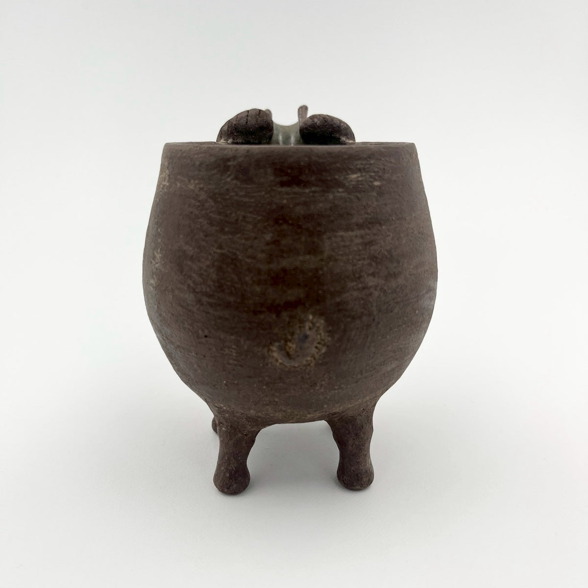 片口獣⑥